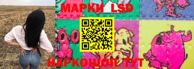 мет Кингисепп