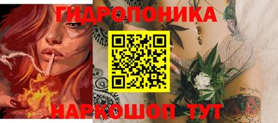 мет Кингисепп