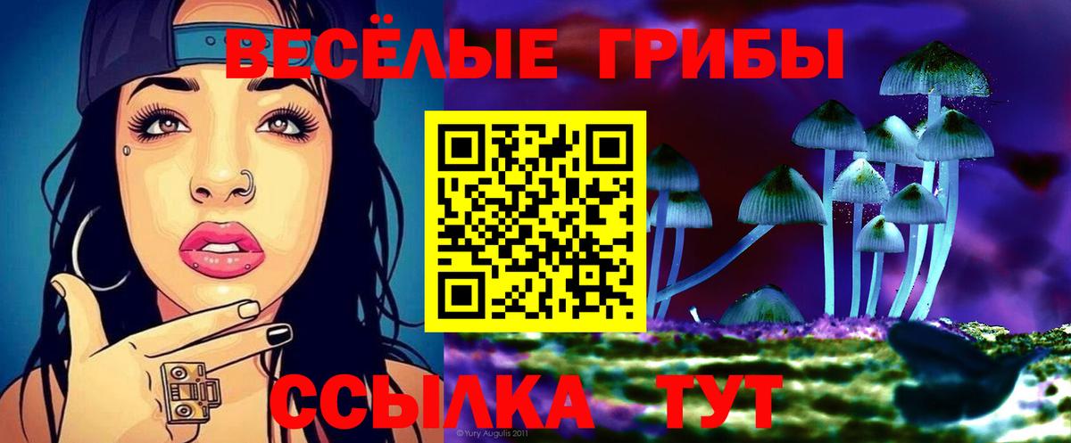 Галлюциногенные грибы MAGIC MUSHROOMS Шелехов
